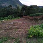 30b8988e81474aefad31572fc36abaca